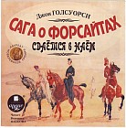 CD-ROM (MP3). Сага о Форсайтах: Сдаётся в наём