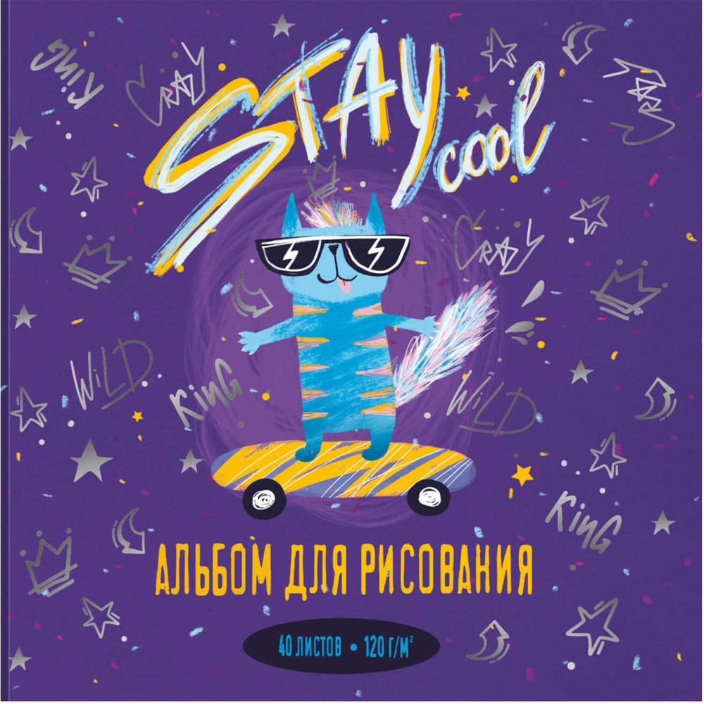 Альбом для рисования «Классный котик» | Феникс +