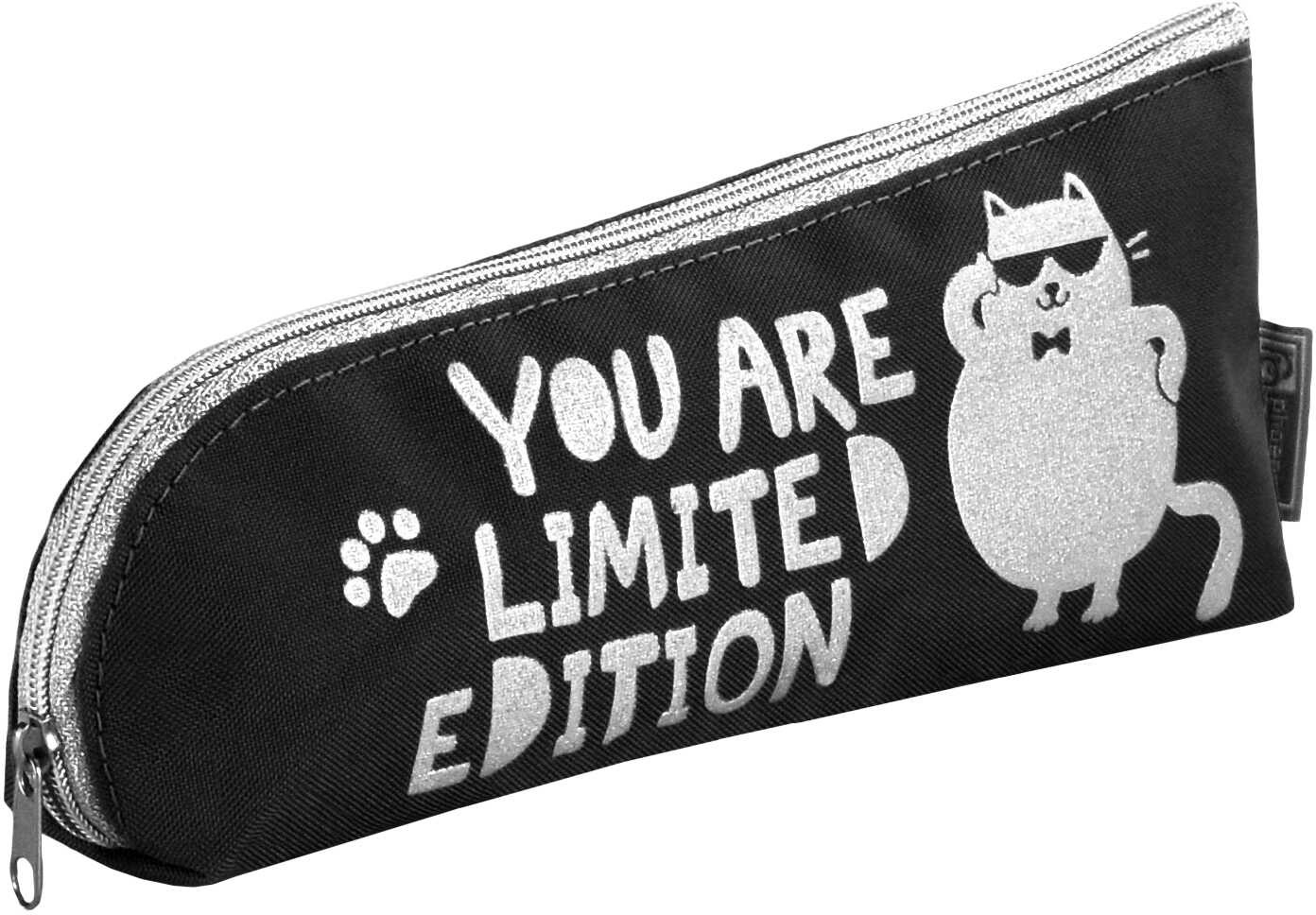 Пенал школьный «Кот» | Настроение по жизни | Феникс +