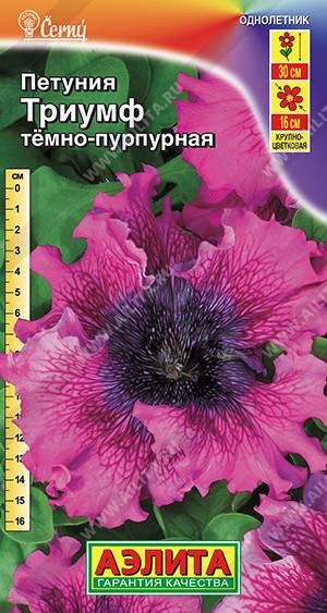 Петуния «Триумф» | Однолетние цветы (Аэлита) | Аэлита