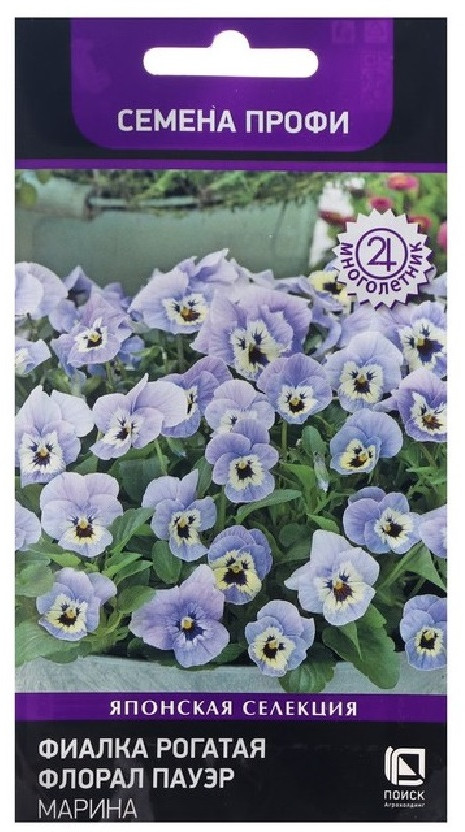 Фиалка рогатая «Флорал Пауэр Марина» | Поиск