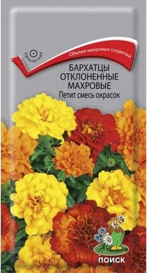 Бархатцы отклоненные махровые «Петит» | Поиск