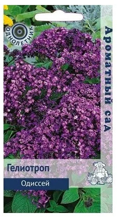 Гелиотроп «Одиссей» | Поиск