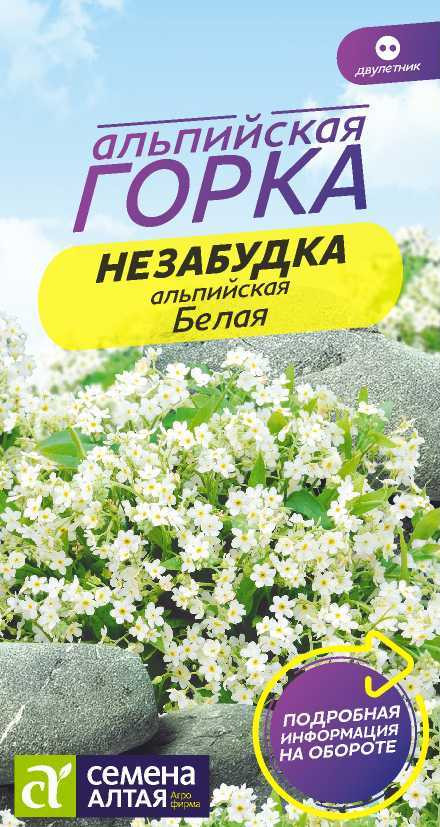 Незабудка «Белая» | Семена Алтая