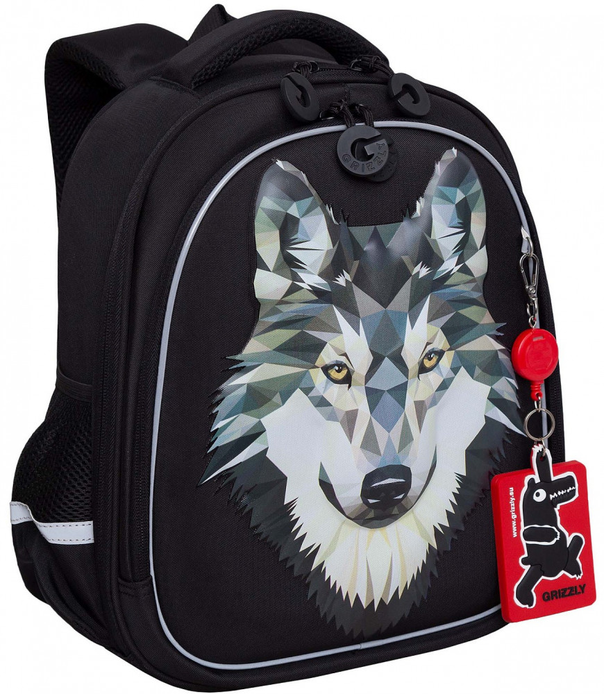 Рюкзак школьный | Raz | Grizzly