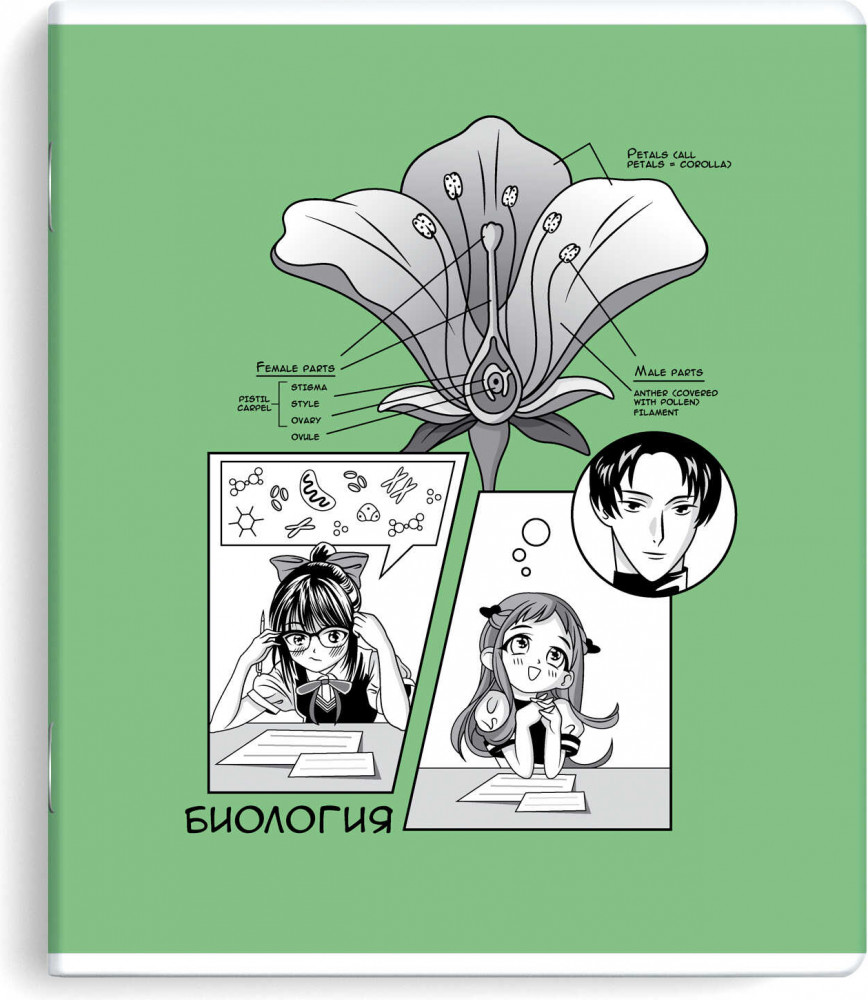 Тетрадь предметная «Биология» | Манга | Феникс +