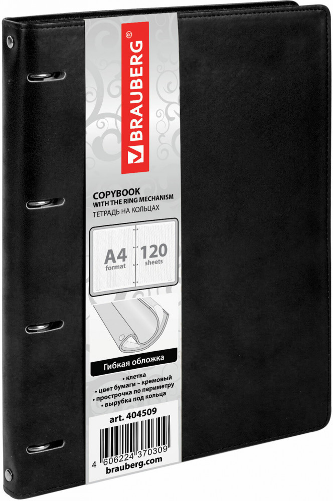 Тетрадь на кольцах | Main | Brauberg