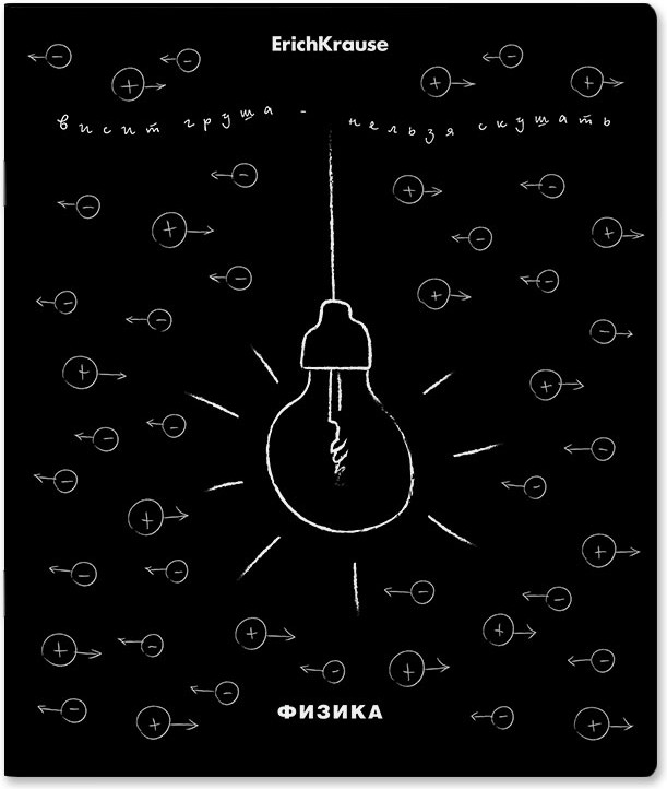 Тетрадь предметная «Физика» | Зри в корень | Erich Krause