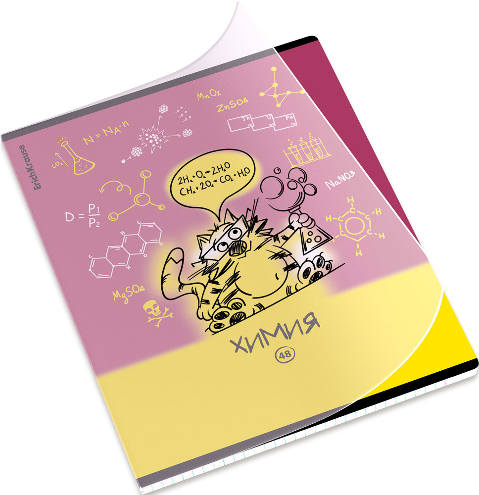 Тетрадь предметная «Химия» | Котоформулы | Erich Krause