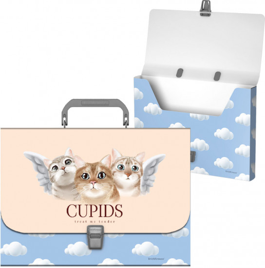 Портфель пластиковый