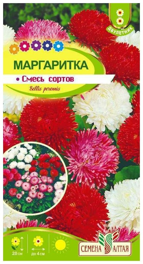 Маргаритка «Смесь сортов» | Семена Алтая