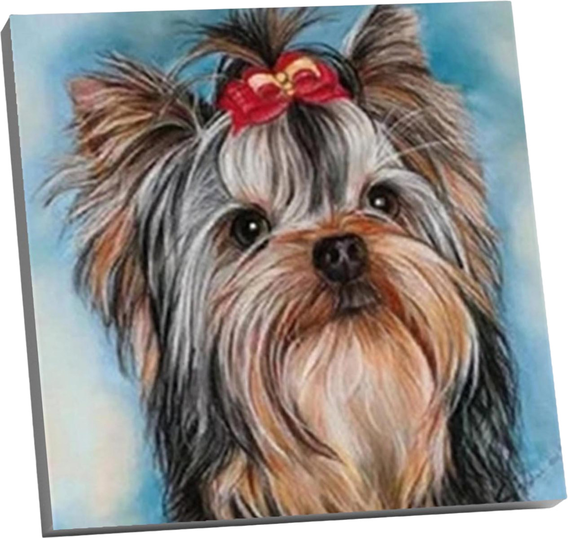 Картина по номерам «Йоркширский терьер» | Molly
