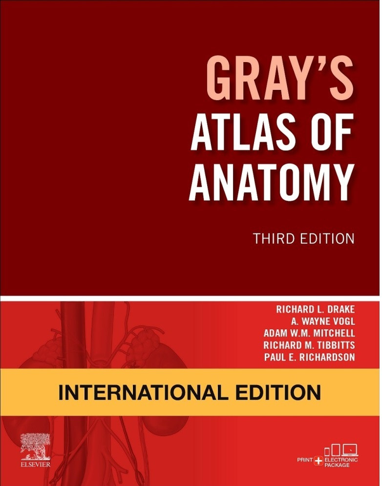 Gray`s Atlas Of Anatomy