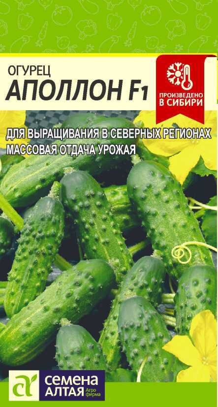 Огурец «Аполлон F1» | Семена Алтая