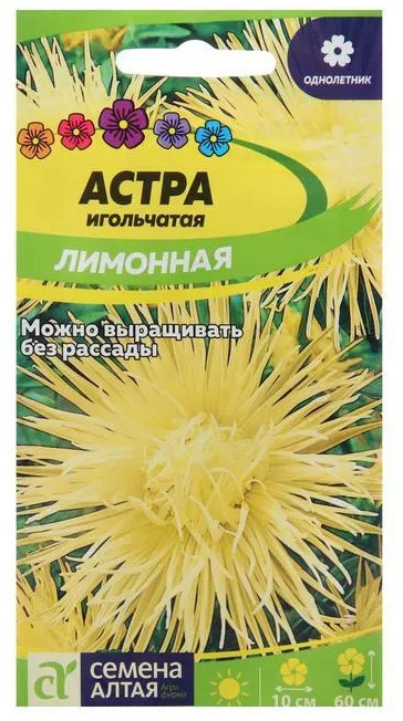 Астра «Игольчатая лимонная» | Семена Алтая