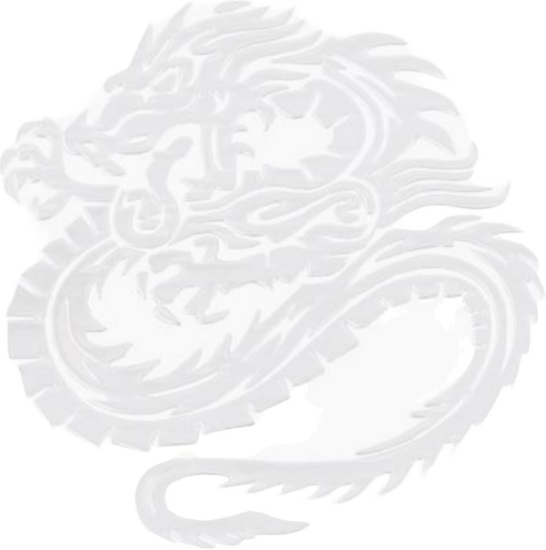 Шильдик «Дракон» | Skyway