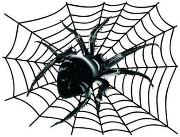 Наклейка на заднее стекло «Паук на паутине» | A-sticker