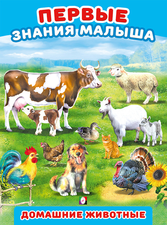 Домашние животные | Первые знания малыша