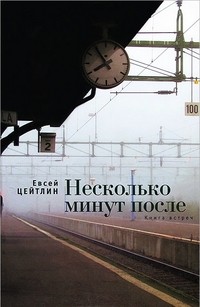 Несколько минут после. Книга встреч