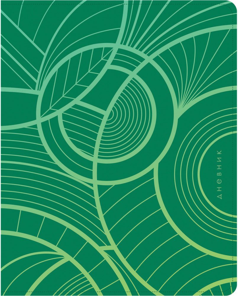 Дневник школьный «Geometry. Green» | Greenwich Line