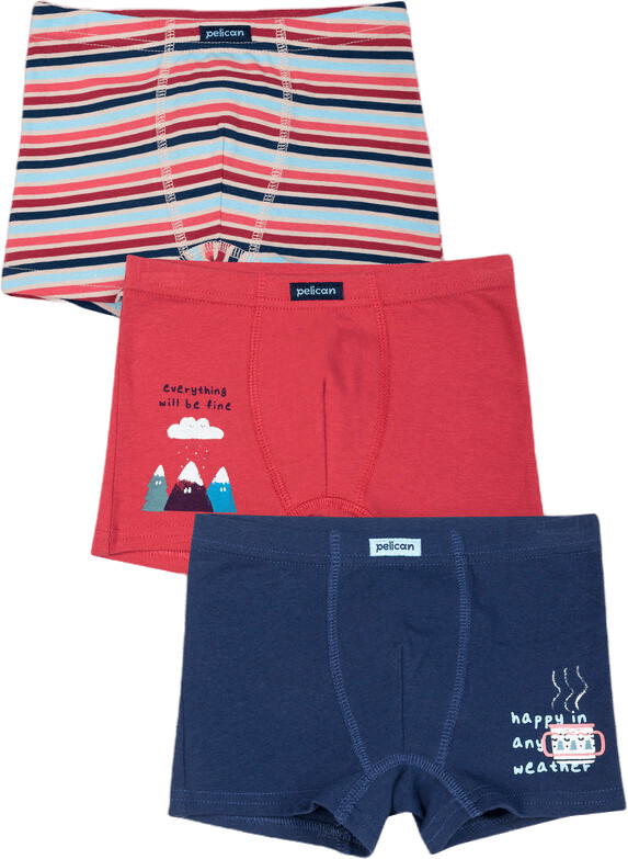 Комплект трусов для мальчиков | Pelican