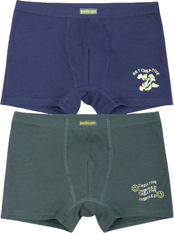 Комплект трусов для мальчиков | Pelican