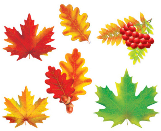 Комплект украшений на скотче «Осенние листья» | Комплекты для украшения интерьера