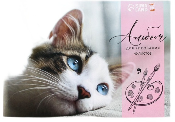Альбом для рисования «Котенок» | Study — Персонажи | ArtFox