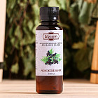 можжевельник