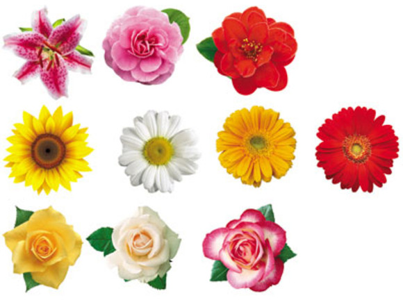 Комплект украшений на скотче «Набор цветов» | Комплекты