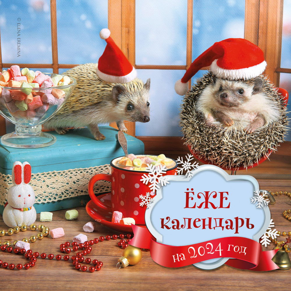 Календарь настенный на 2024 год «Ёжекалендарь» | Календари настенные 2024 (300×300)