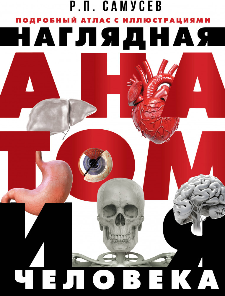 Наглядная анатомия человека. Подробный атлас с иллюстрациями | Наглядная анатомия