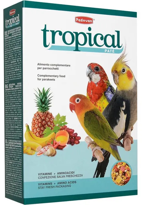 Корм для средних попугаев с фруктами «Tropical patte» | Padovan