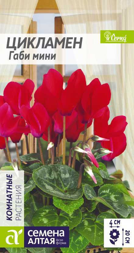 Цикламен «Габи мини» | Семена Алтая