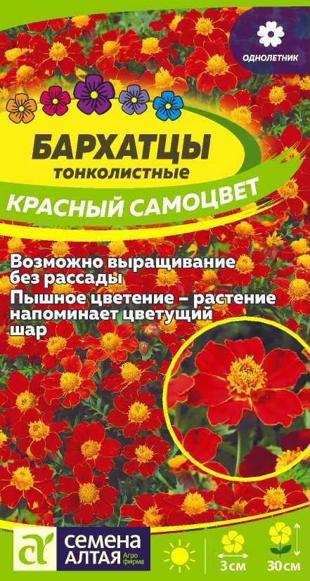 Бархатцы тонколистные «Красный самоцвет» | Семена Алтая