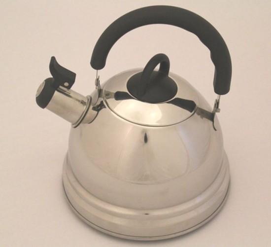 Чайник для кипячения воды Demdeu (2,5 л) | Fissman