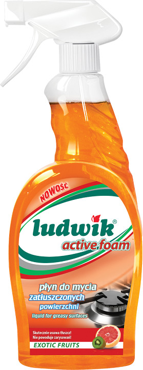 Средство для мытья замасленных поверхностей «Active foam» | Ludwik