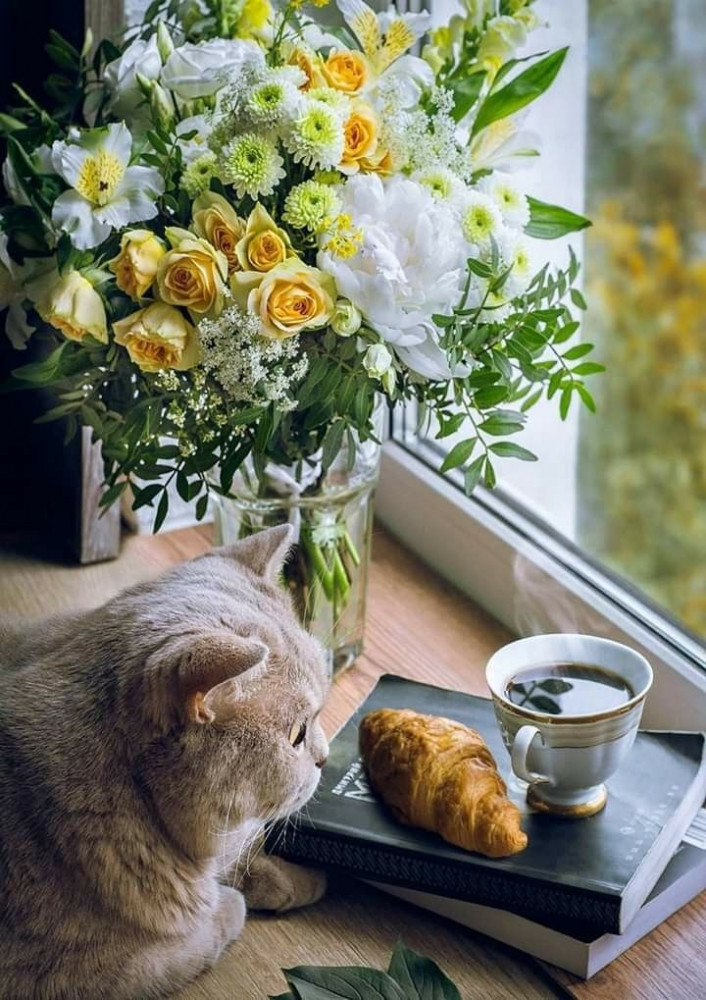 Картина по номерам «Кот у окна» | Арт Фея