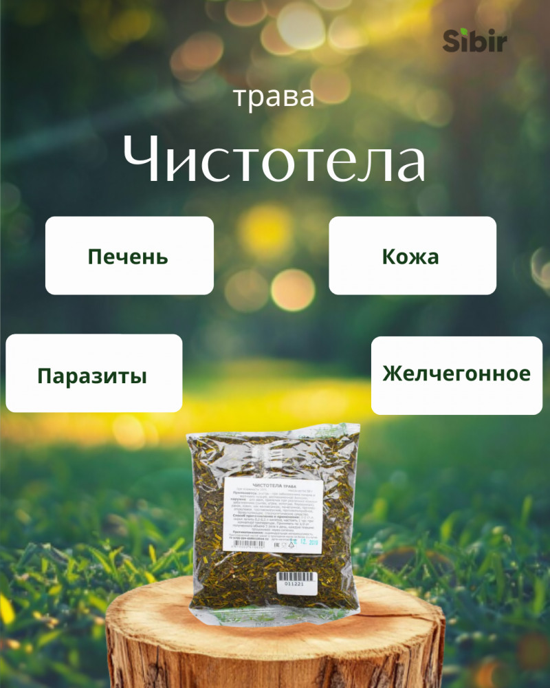 Чистотела трава | Травник Гордеев