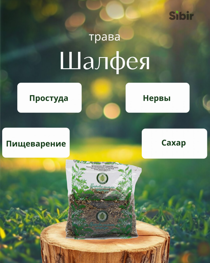 Шалфея трава | Травник Гордеев