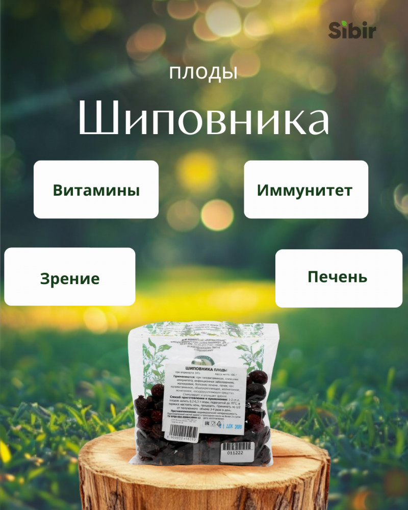 Шиповника плоды | Травник Гордеев