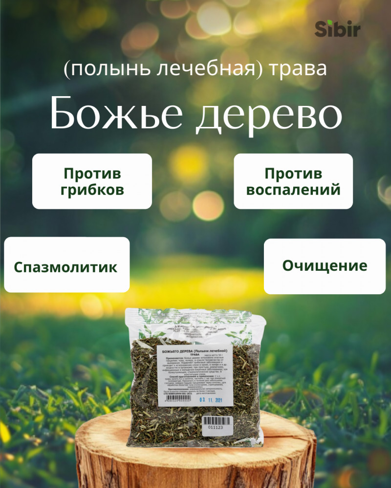 Божье дерево (полынь лечебная) трава | Травник Гордеев