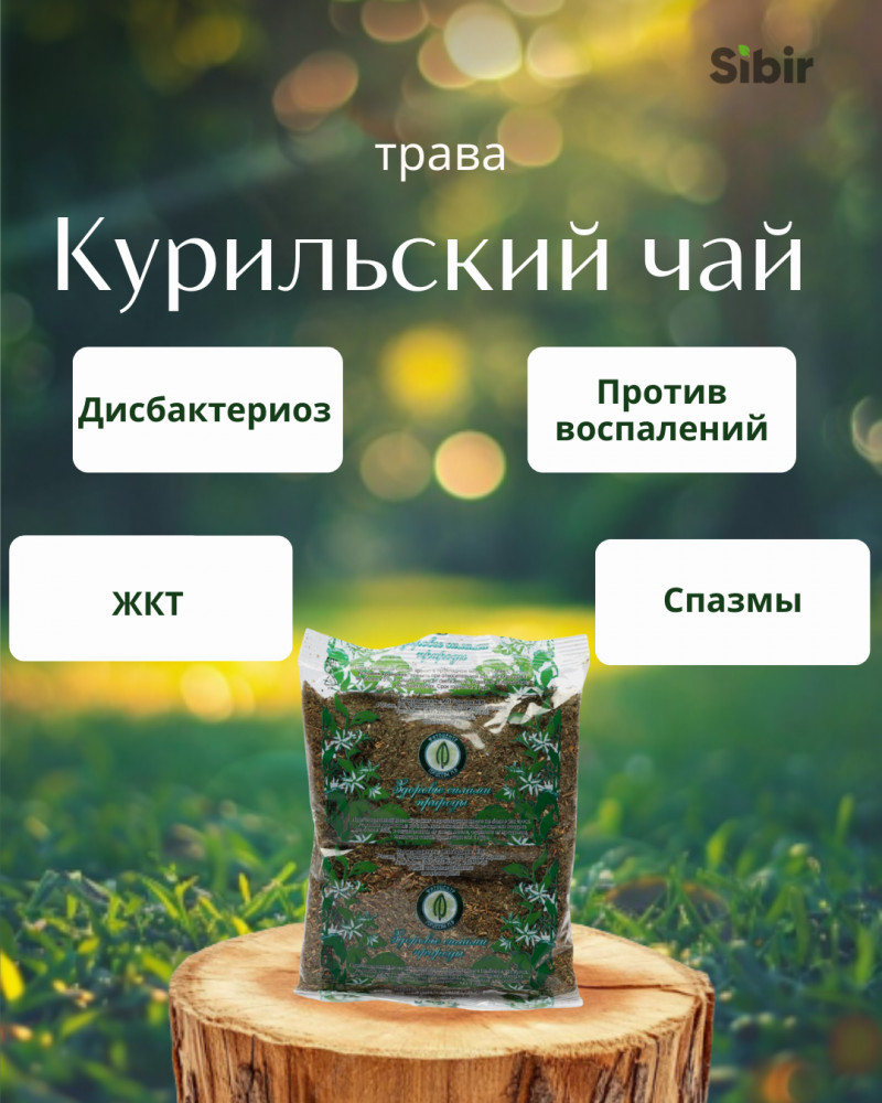 Курильский чай трава | Травник Гордеев