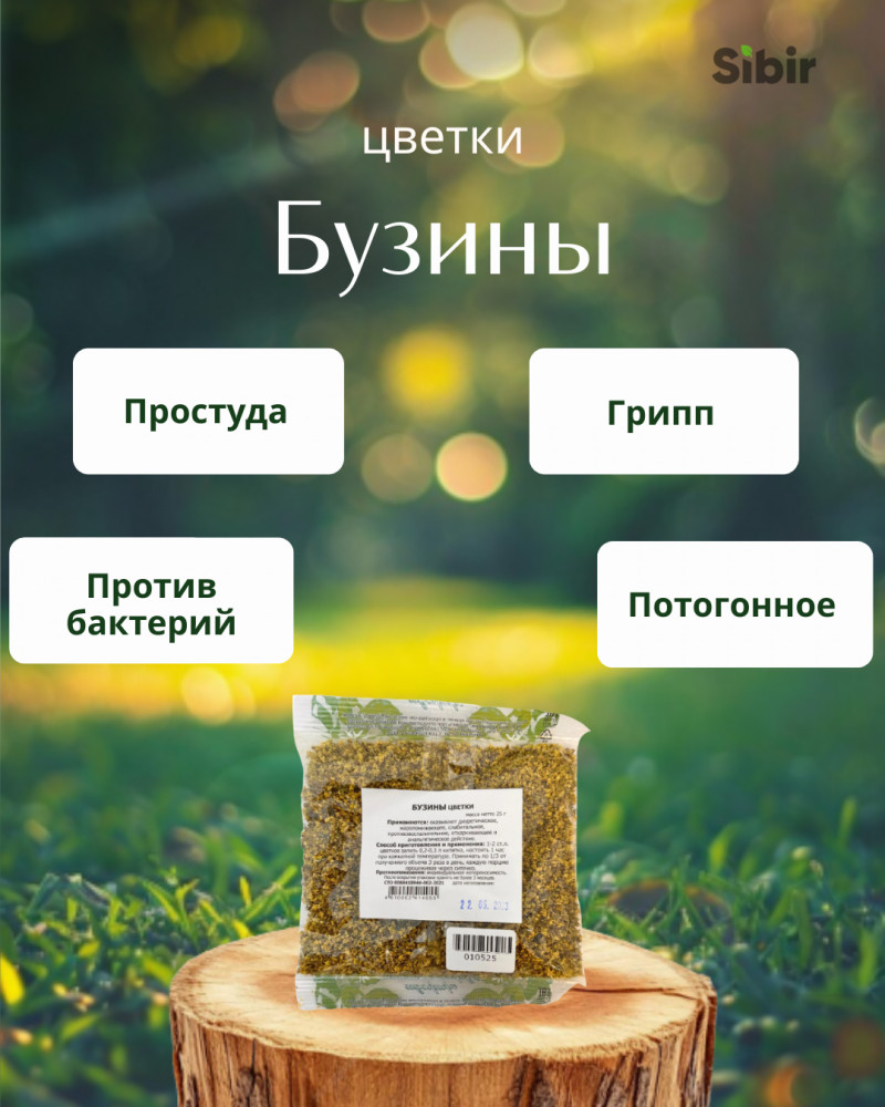 Бузины цветки | Травник Гордеев