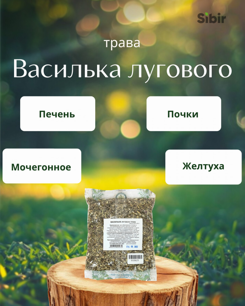 Василька лугового трава | Травник Гордеев