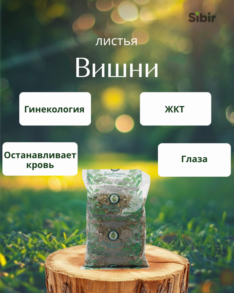 Вишни листья | Травник Гордеев