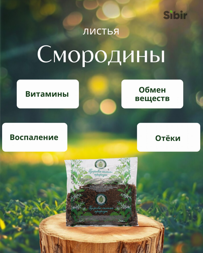 Смородины листья | Травник Гордеев