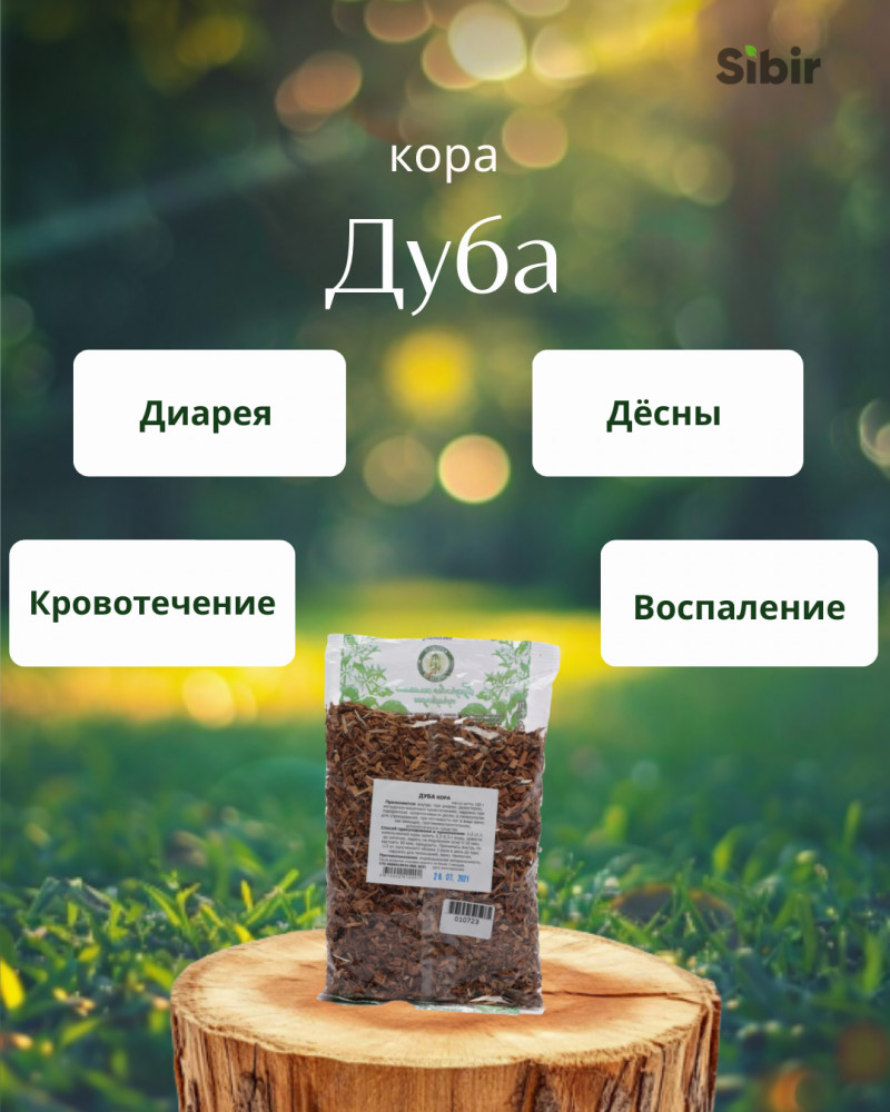 Дуба кора | Травник Гордеев