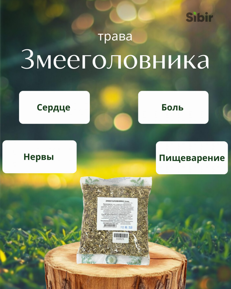 Змееголовника трава | Травник Гордеев