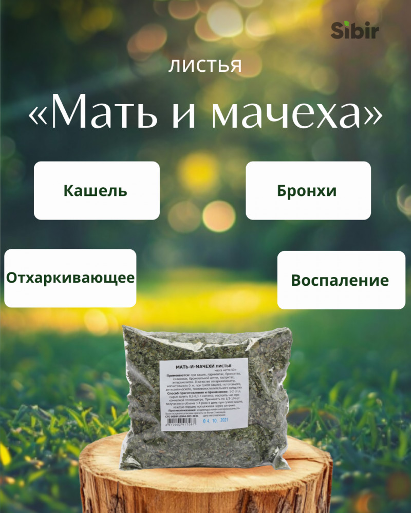 «Мать и мачеха» листья | Травник Гордеев